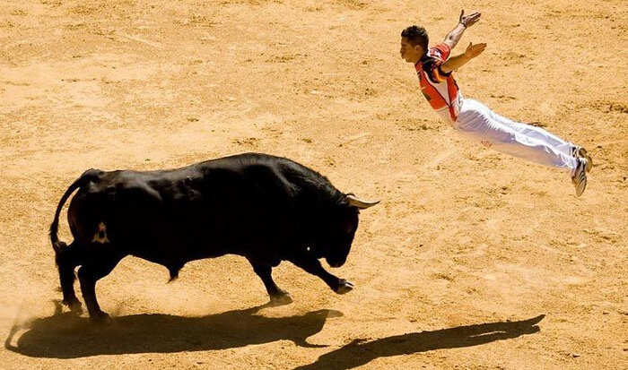 西班牙移民 感受西班牙传统国粹”斗牛”